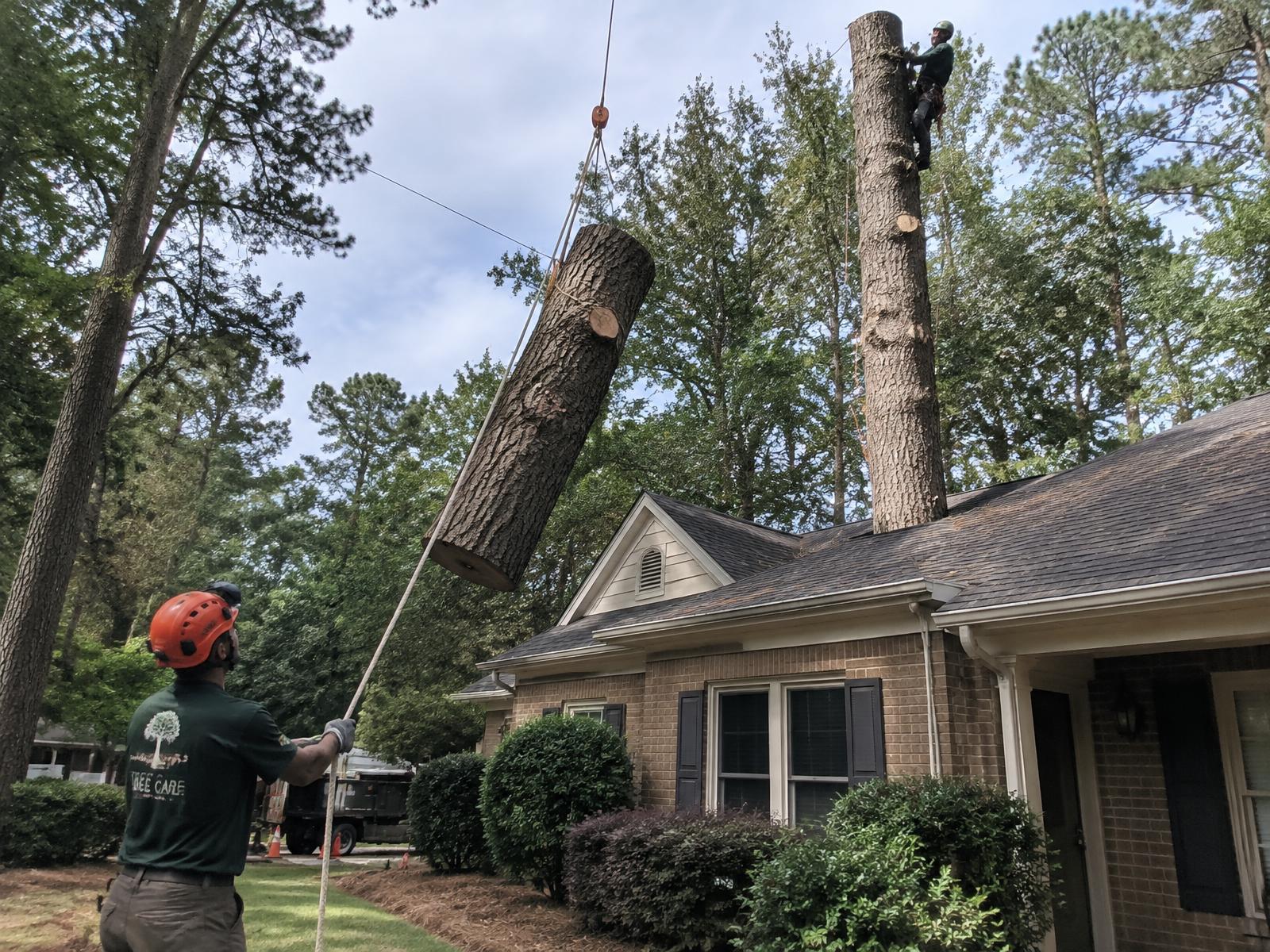 Trunk section lowered on ropes over a brick house roof