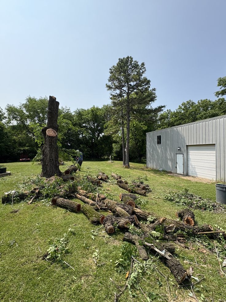 Tree Removal